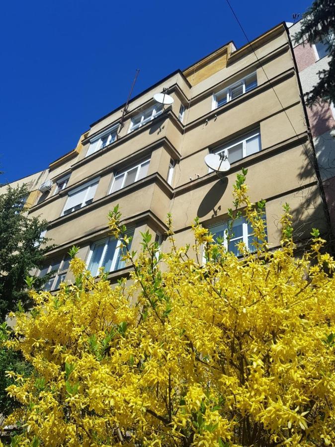Ferienwohnung Затишні Смарт-Квартири В Історичному Центрі! Uschhorod Exterior foto